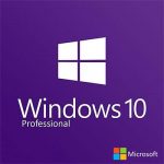 wamono-store_windows-10-pro